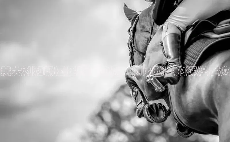 28电子游戏官方网站百度学术意大利和韩国足球运动员：两国球星的辉煌足迹