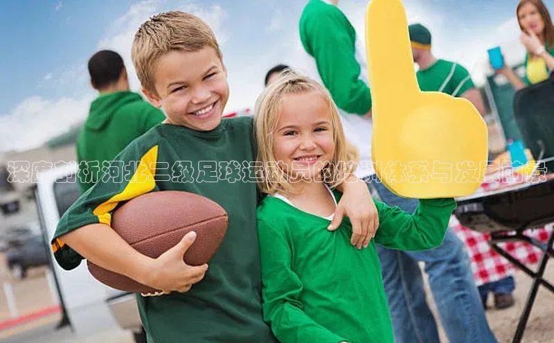 28电子游戏官方网站每日互动深度剖析河北二级足球运动员的培训体系与发展前景