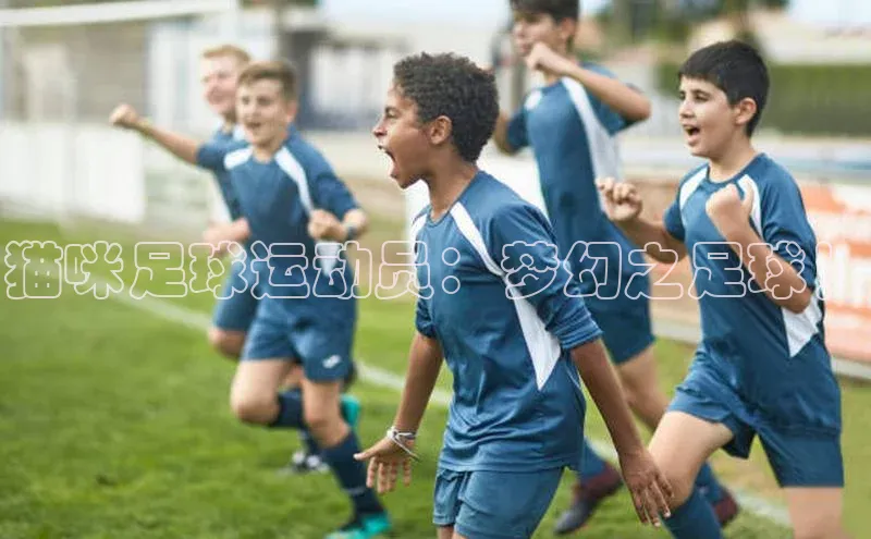 加拿大28快速预测开奖度小满支付猫咪足球运动员：梦幻之足球！