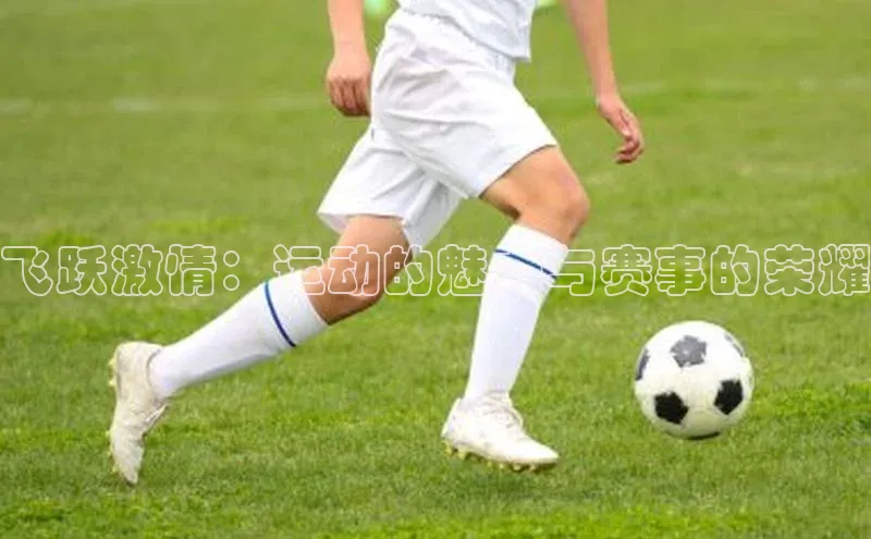 28圈.ccmpc正版阿里尔公司飞跃激情：运动的魅力与赛事的荣耀