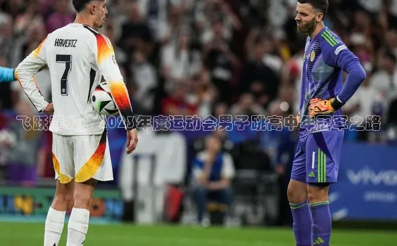 飞跃巅峰：2023年度运动会男子跳高中年冠军之路