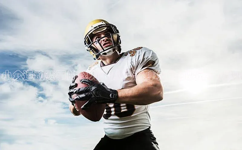 小众运动赛事的魅力：从起源到现代的变迁与发现