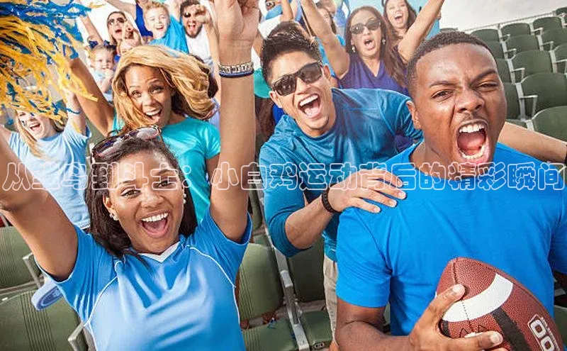 从雏鸟到斗士：小白鸡运动背后的精彩瞬间