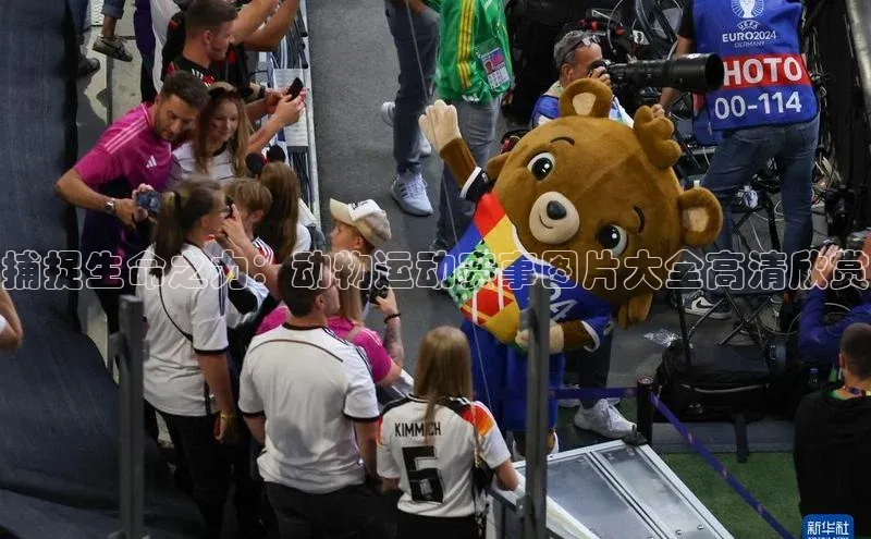 捕捉生命之力：动物运动赛事图片大全高清欣赏