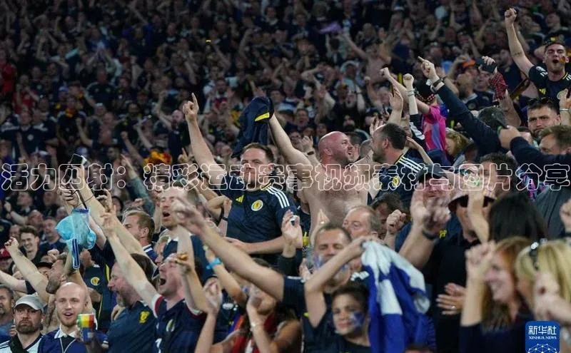 活力四射：精彩运动赛事视频素材与图片分享