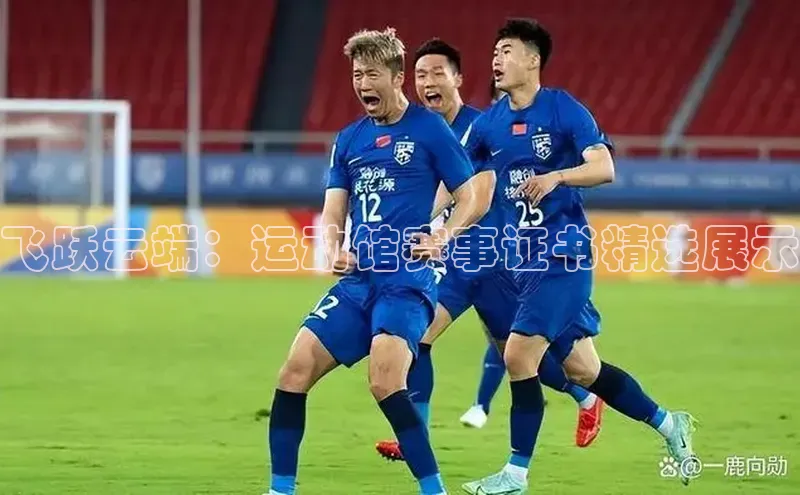 飞跃云端：运动馆赛事证书精选展示