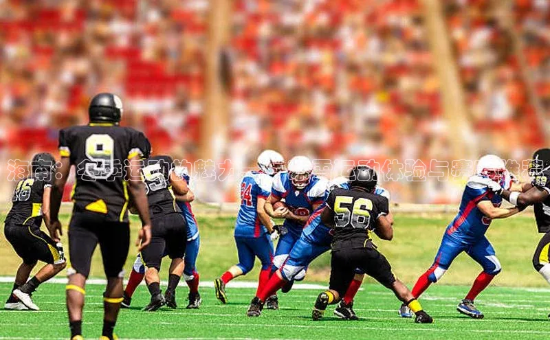 海南：冬季运动的魅力——冰雪运动体验与赛事推荐