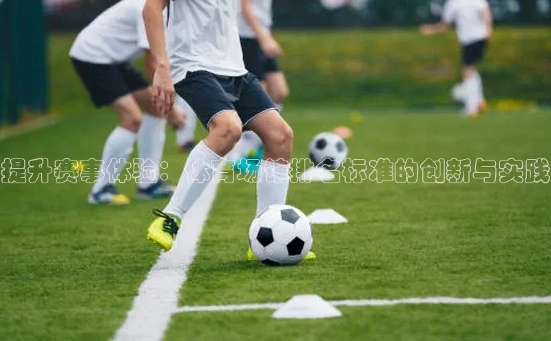 提升赛事体验：体育场馆排名标准的创新与实践