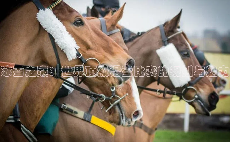 冰雪之巅：世界顶级滑雪比赛的规则与魅力