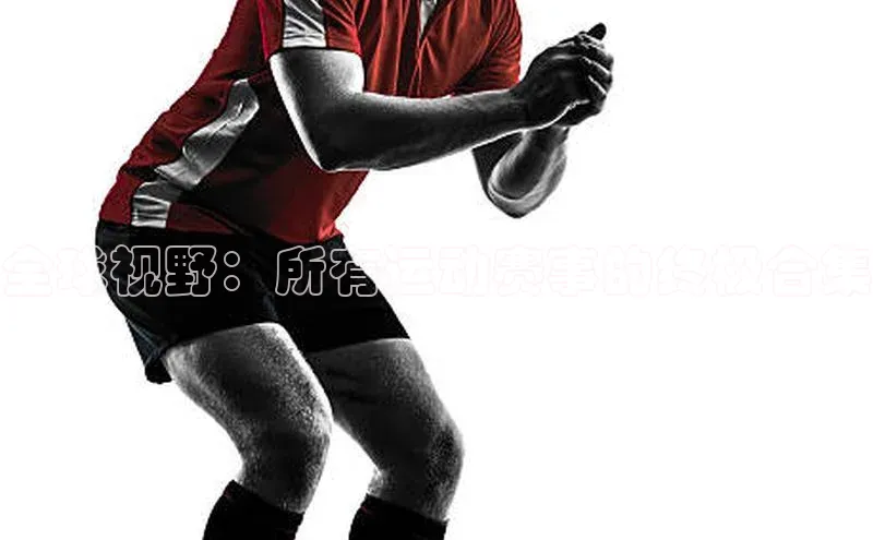 全球视野：所有运动赛事的终极合集