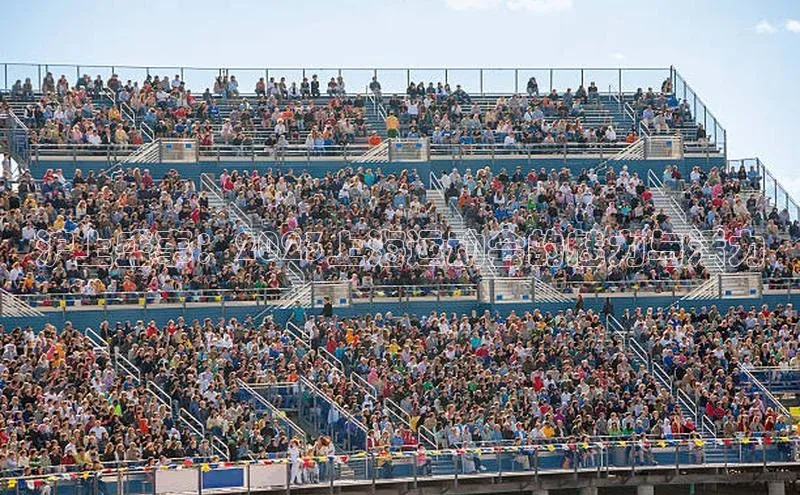 沪上盛事：2023上海运动会的魅力与活力