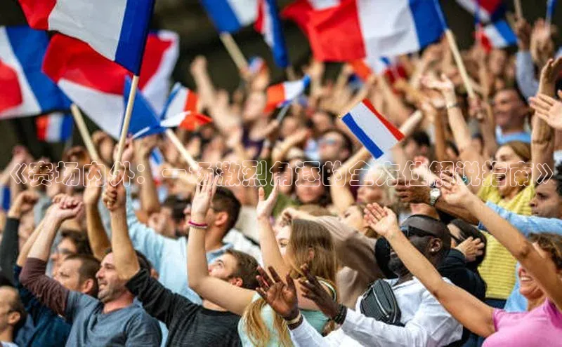 《赛场内外：一场激烈角逐的全方位解说指南》