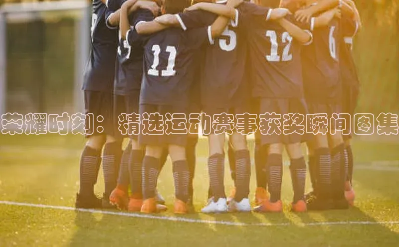 荣耀时刻：精选运动赛事获奖瞬间图集