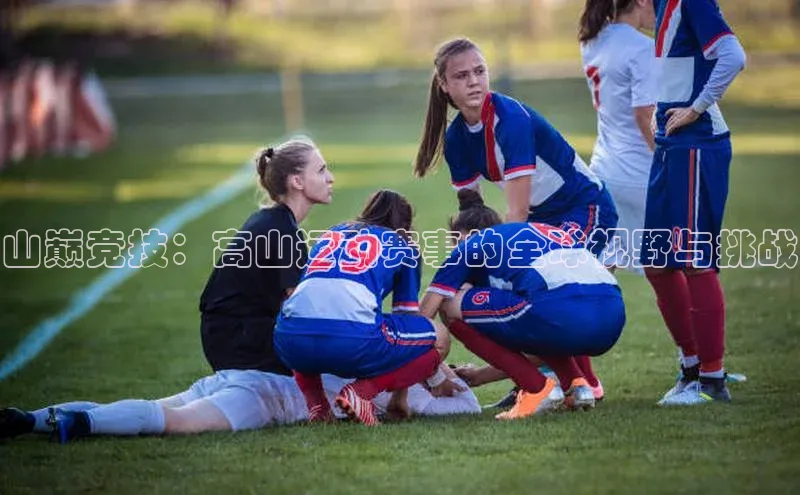 山巅竞技：高山运动赛事的全球视野与挑战
