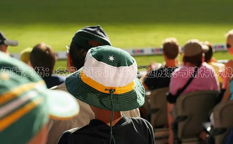 闪耀赛场：冬奥会运动员的卓越成就与精神风貌